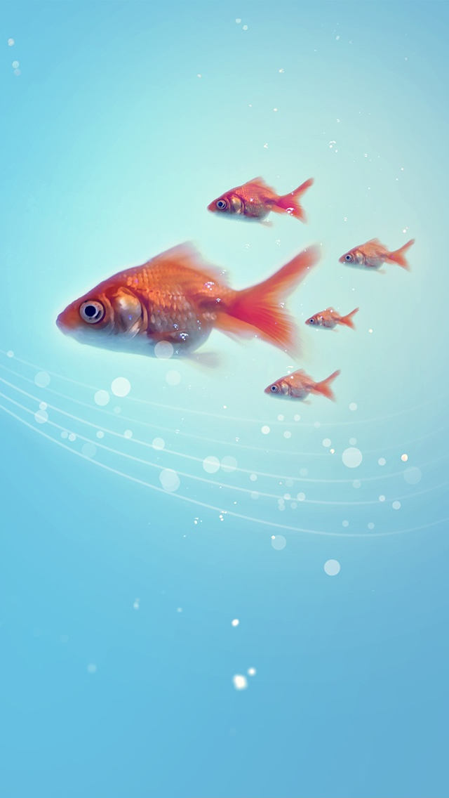 Goldfish Iphone Wallpaper - Ro Water Purifier Slider - HD Wallpaper 