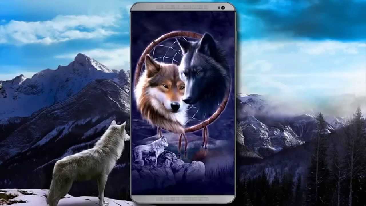 Wolf On Snowy Mountain - HD Wallpaper 