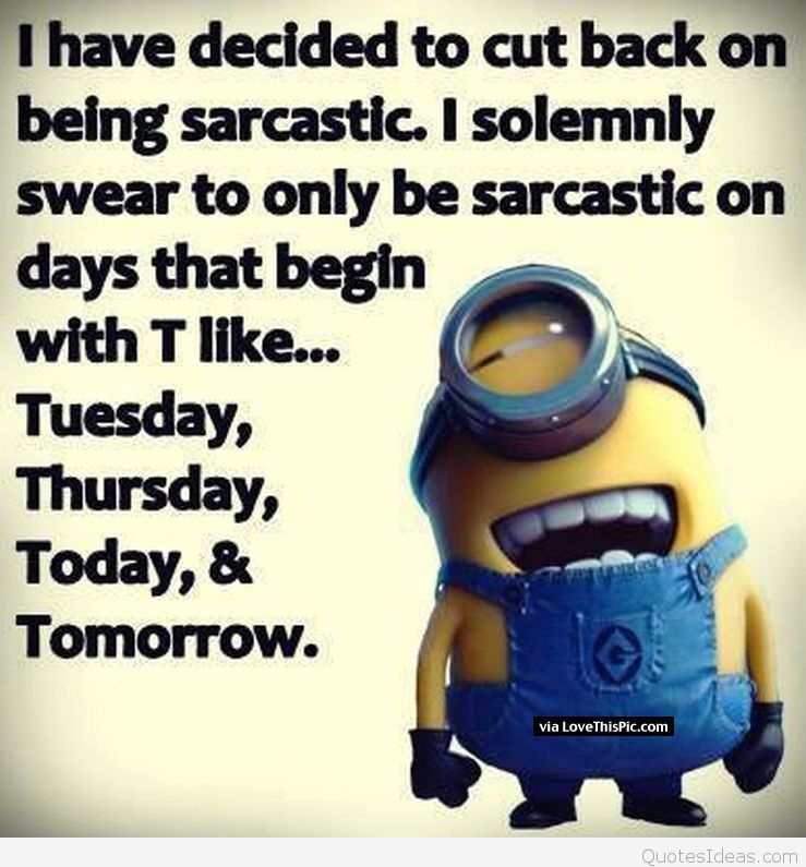 204149 Sarcastic Minion - Poster - HD Wallpaper 