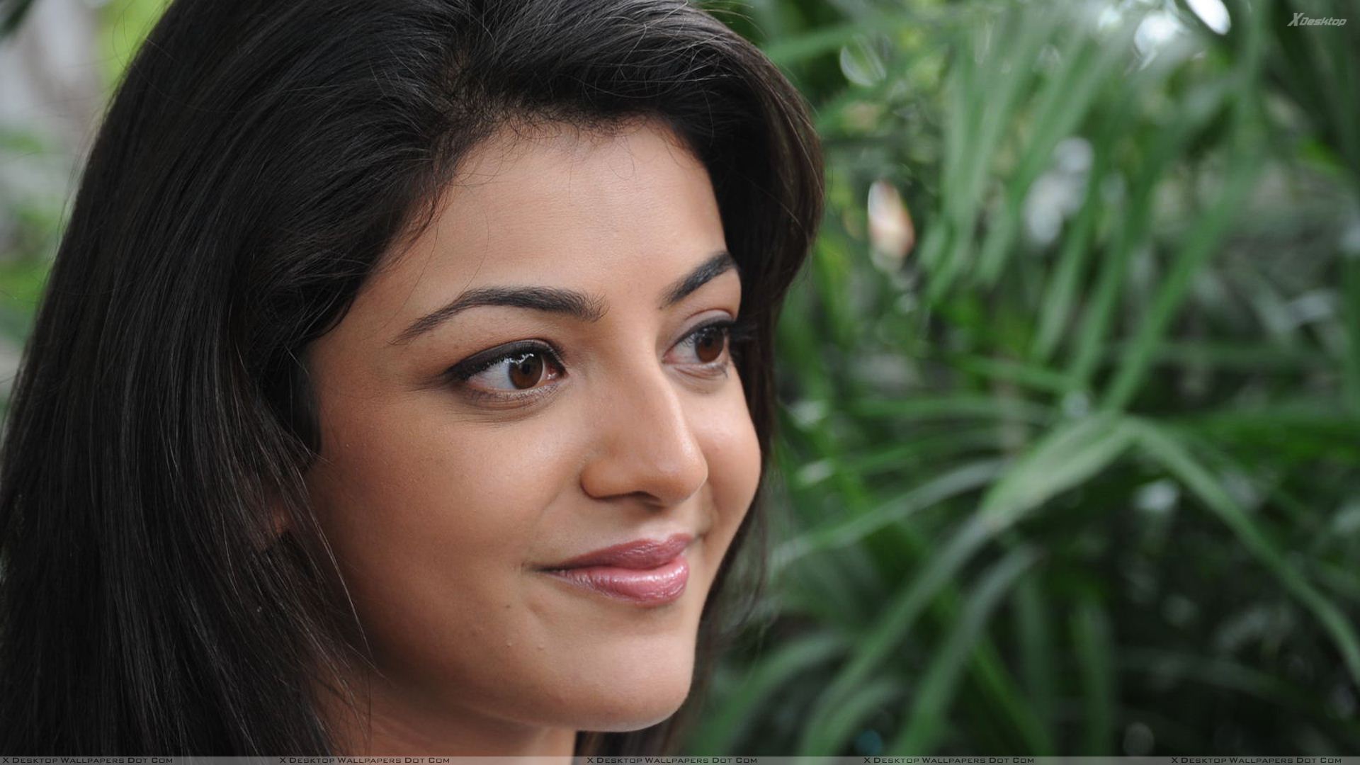 Kajal Agarwal Face Hd - HD Wallpaper 