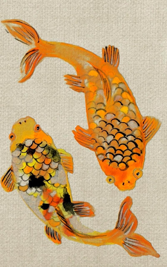 Koi Fish 3d Wallpaper - Fishes Wallpapers Hd Free Download - 562x900  Wallpaper 