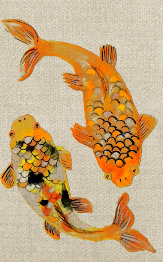 Koi Fish 3d Wallpaper - Fishes Wallpapers Hd Free Download - HD Wallpaper 