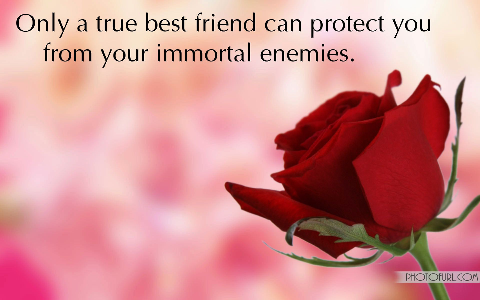 Beautiful Wallpapers With Quotes Of Friends - HD Wallpaper 