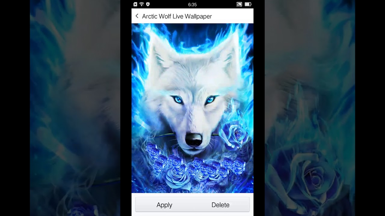 Live Wallpaper Wolf - HD Wallpaper 