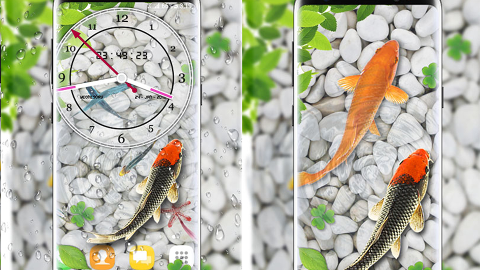 मछली का वालपेपर - HD Wallpaper 