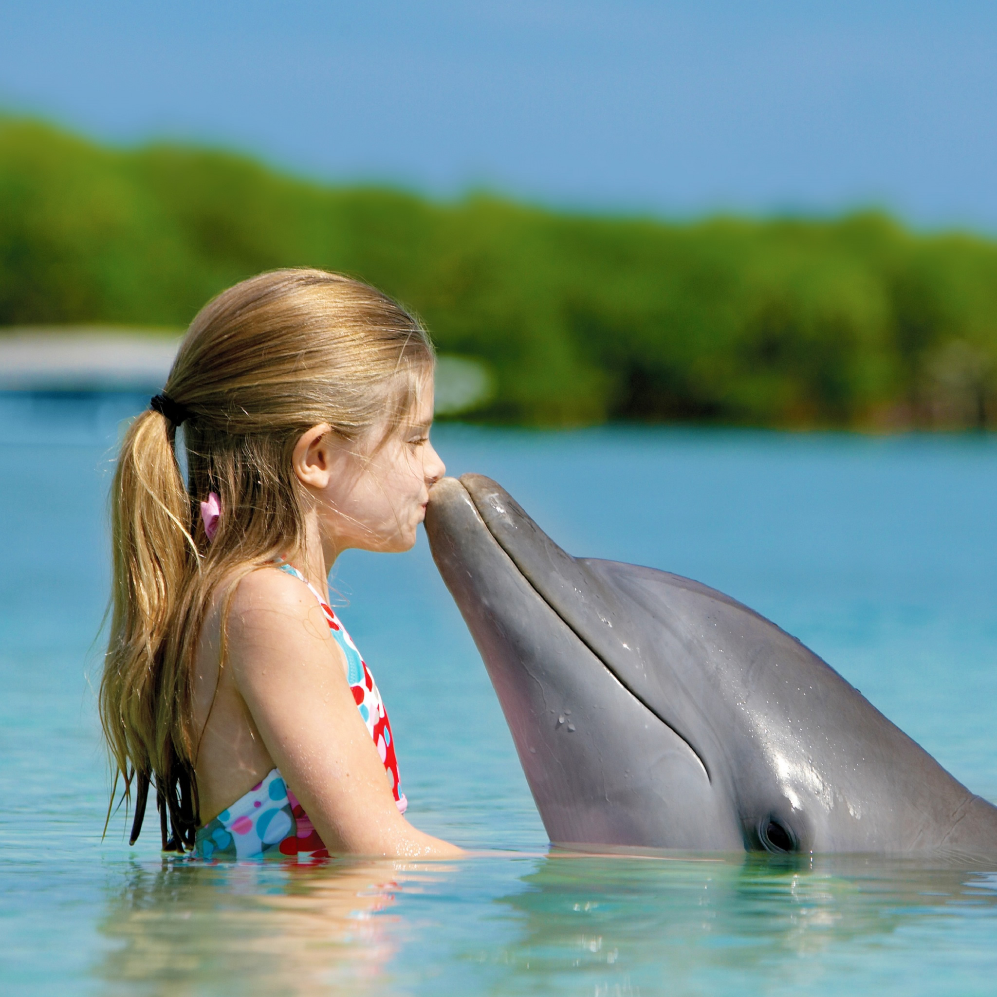 Girl With Dolphin - HD Wallpaper 