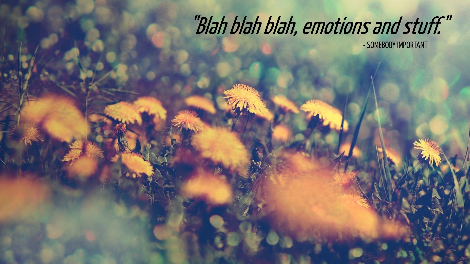 Sarcastic Quotes On Nature - 1920x1080 Wallpaper Sarcastic Quotes On Nature - 1920x1080 Wallpaper