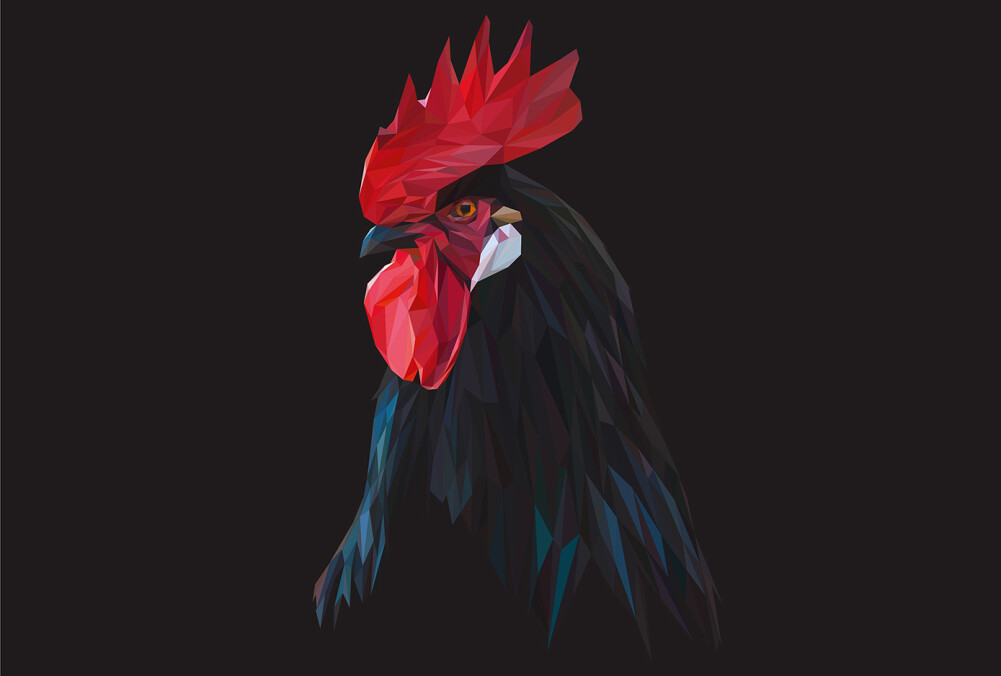Architects Paper Photo Wallpaper Le Coq Polygon Dd108925 - Rooster - HD Wallpaper 