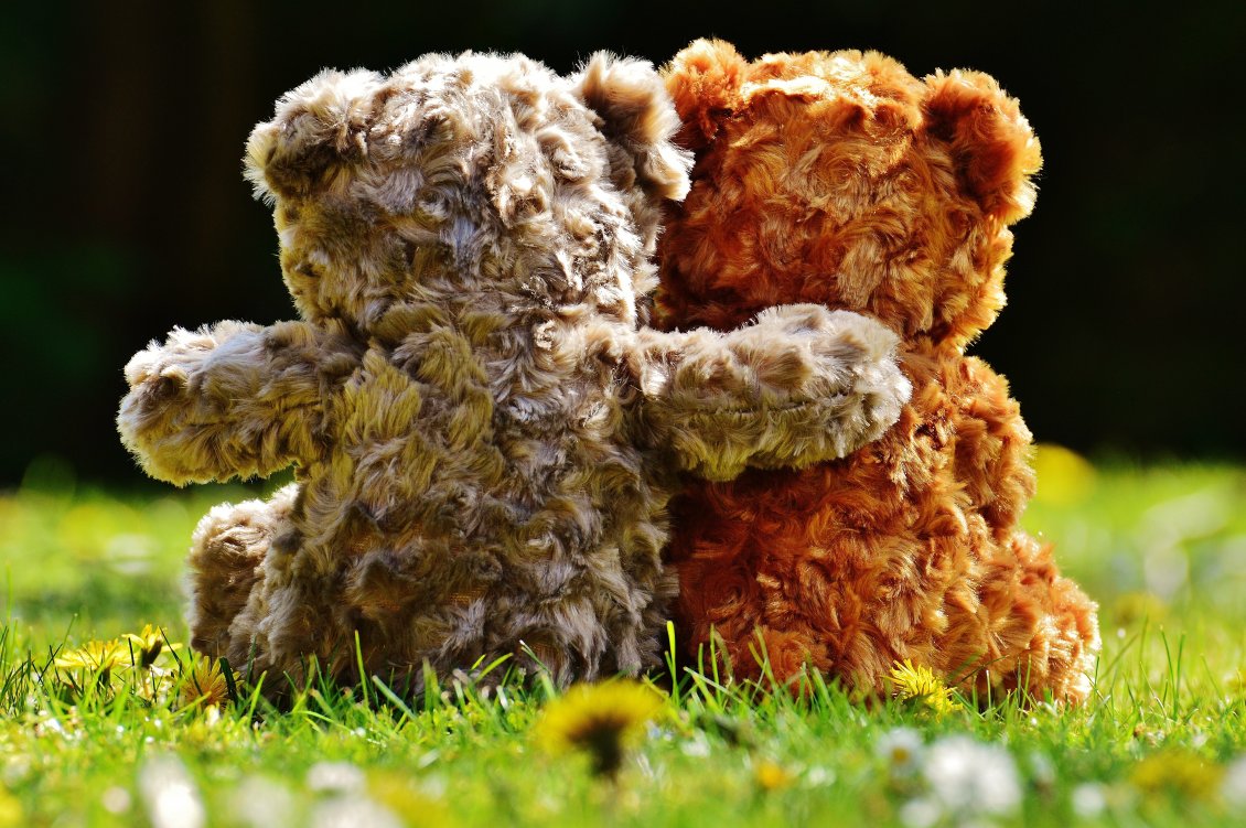 Download Wallpaper True Love Between Fluffy Bears - Love Romantic Teddy Day - HD Wallpaper 