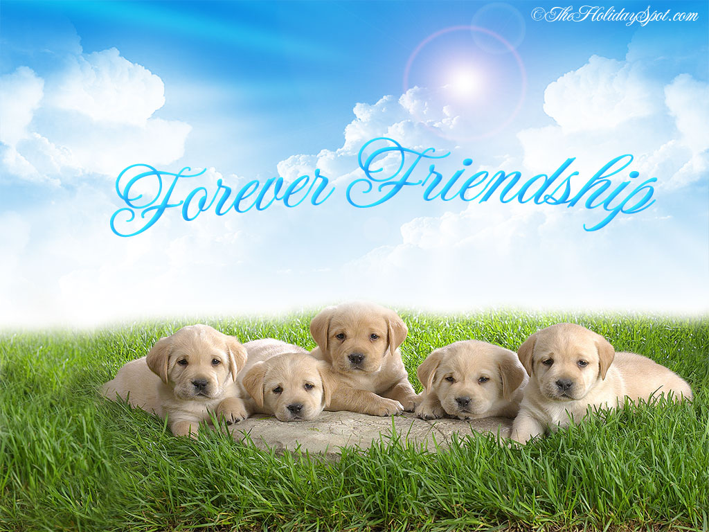 Forever Friendship Between Some Canine Friends - Natural Images Of Animals  - 1024x768 Wallpaper 