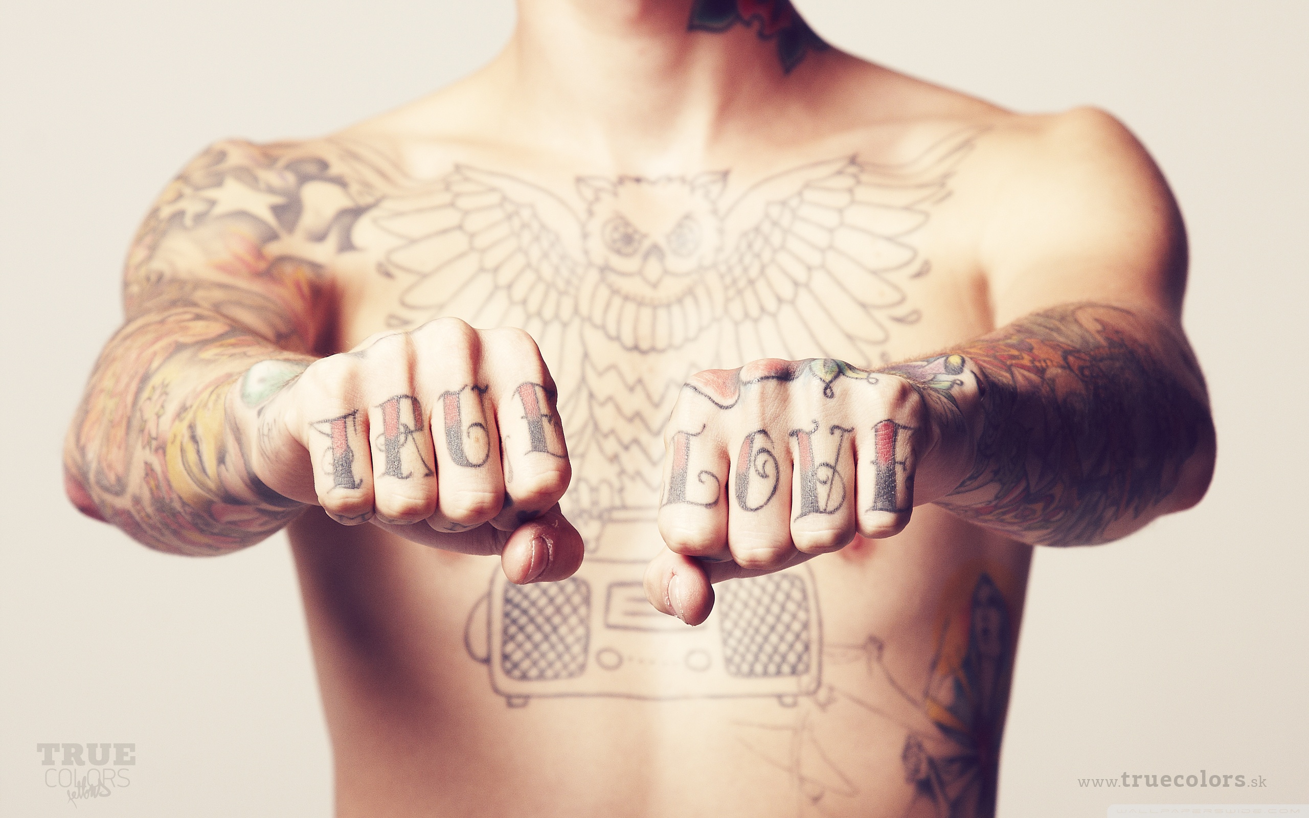 Bootstrap Free Template Tattoo - HD Wallpaper 