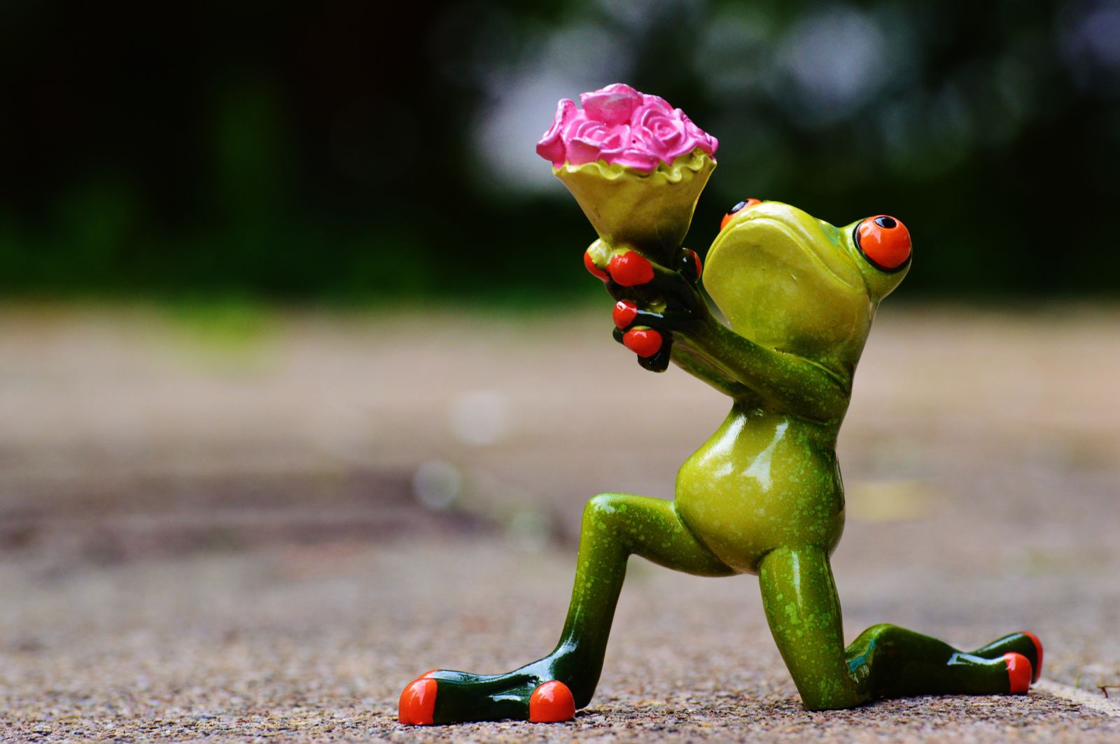 Flowers Cute Love Sweet Wallpaper - Frog Funny - HD Wallpaper 