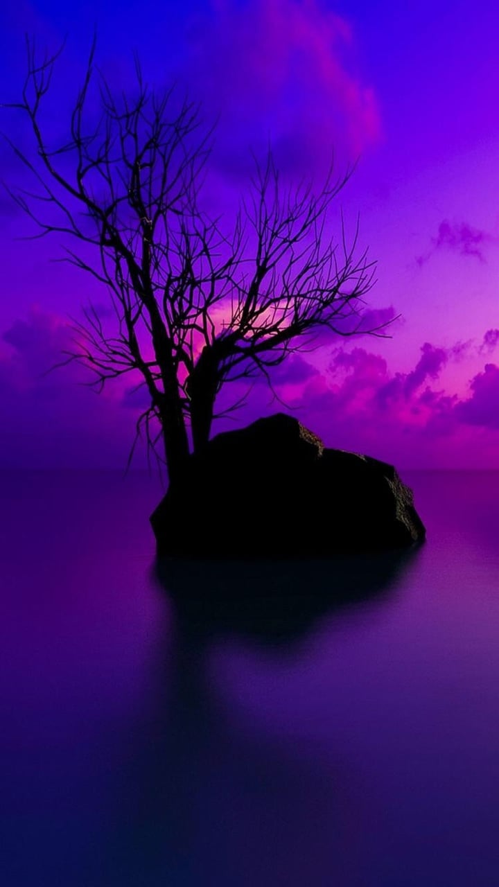 Purple Image - Sunset Hd - HD Wallpaper 