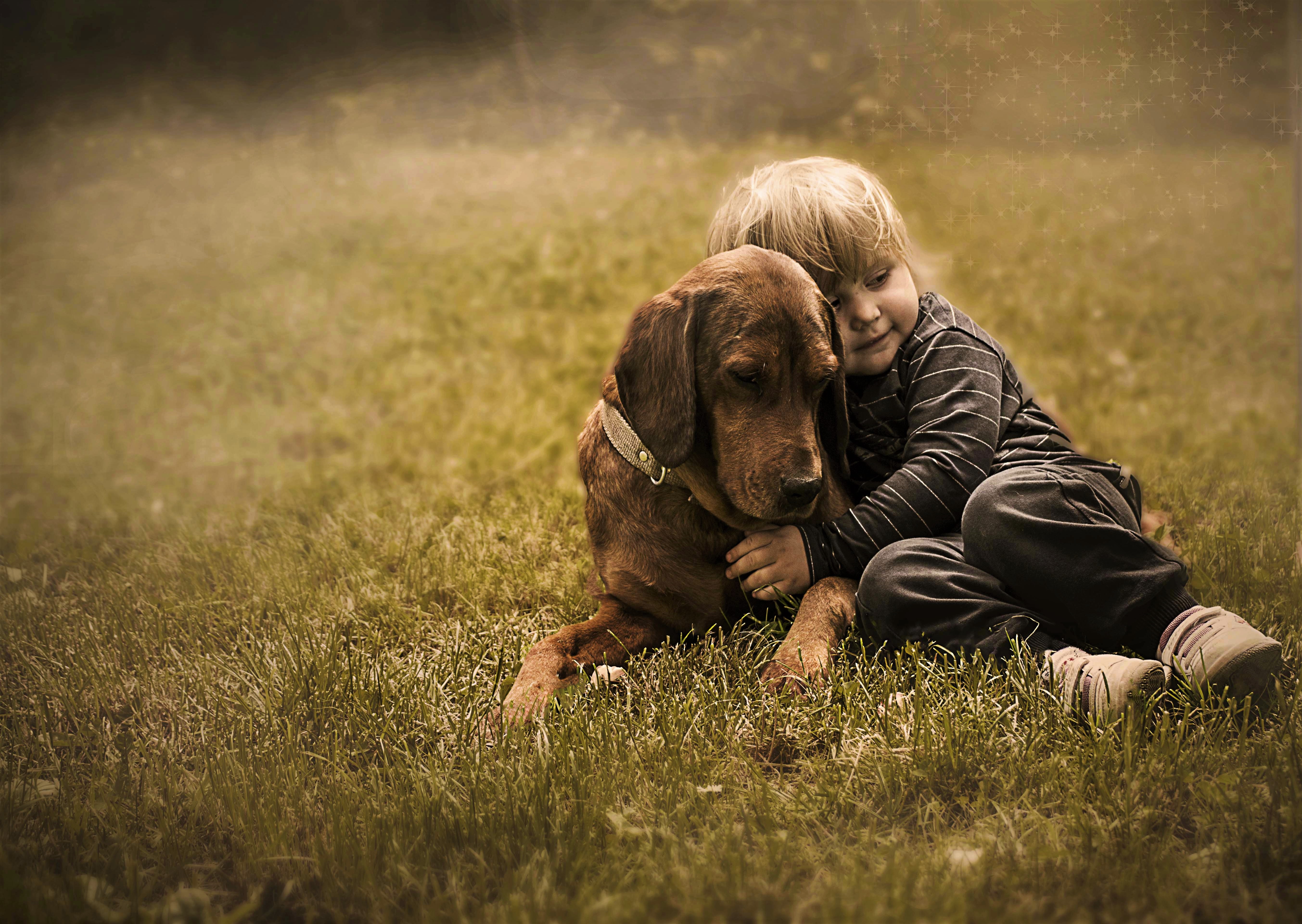 Dog With Boy Hug Hd - HD Wallpaper 