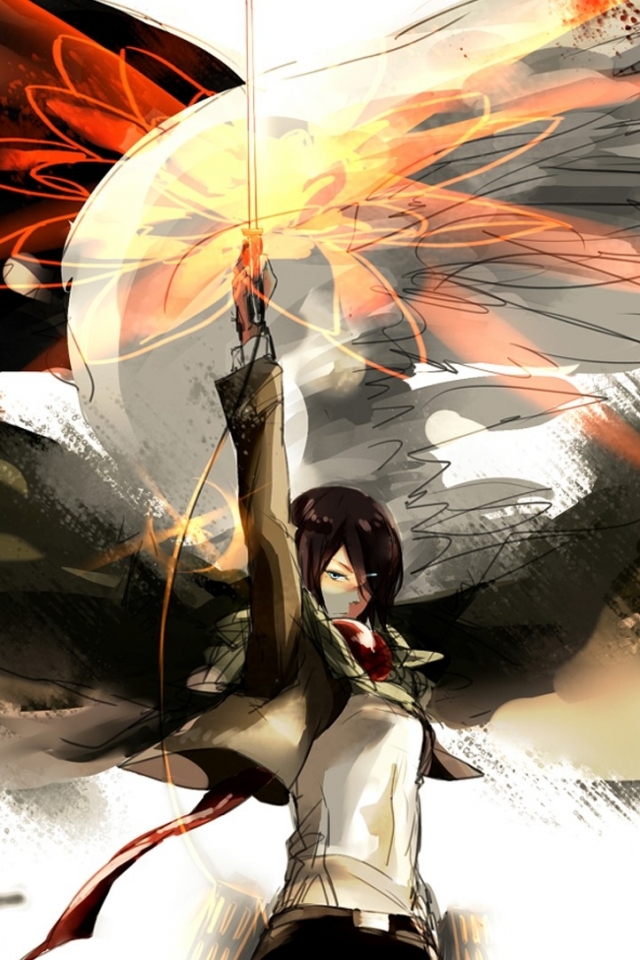 Mikasa Attack On Titan Wallpaper Phone 640x960 Wallpaper Teahub Io