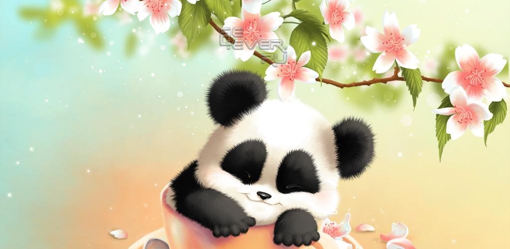 Sleepy Panda Live Wallpaper - Fond D Écran Panda Mignon - HD Wallpaper 