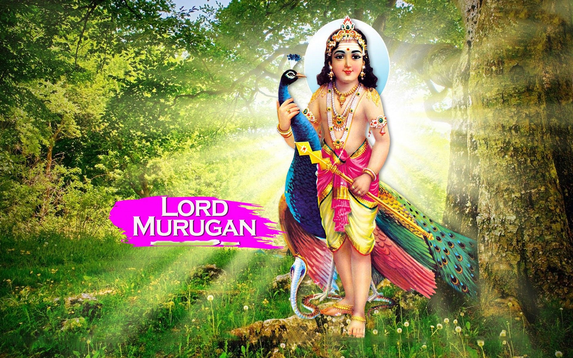 Baby Lord Muruga Hd - HD Wallpaper 