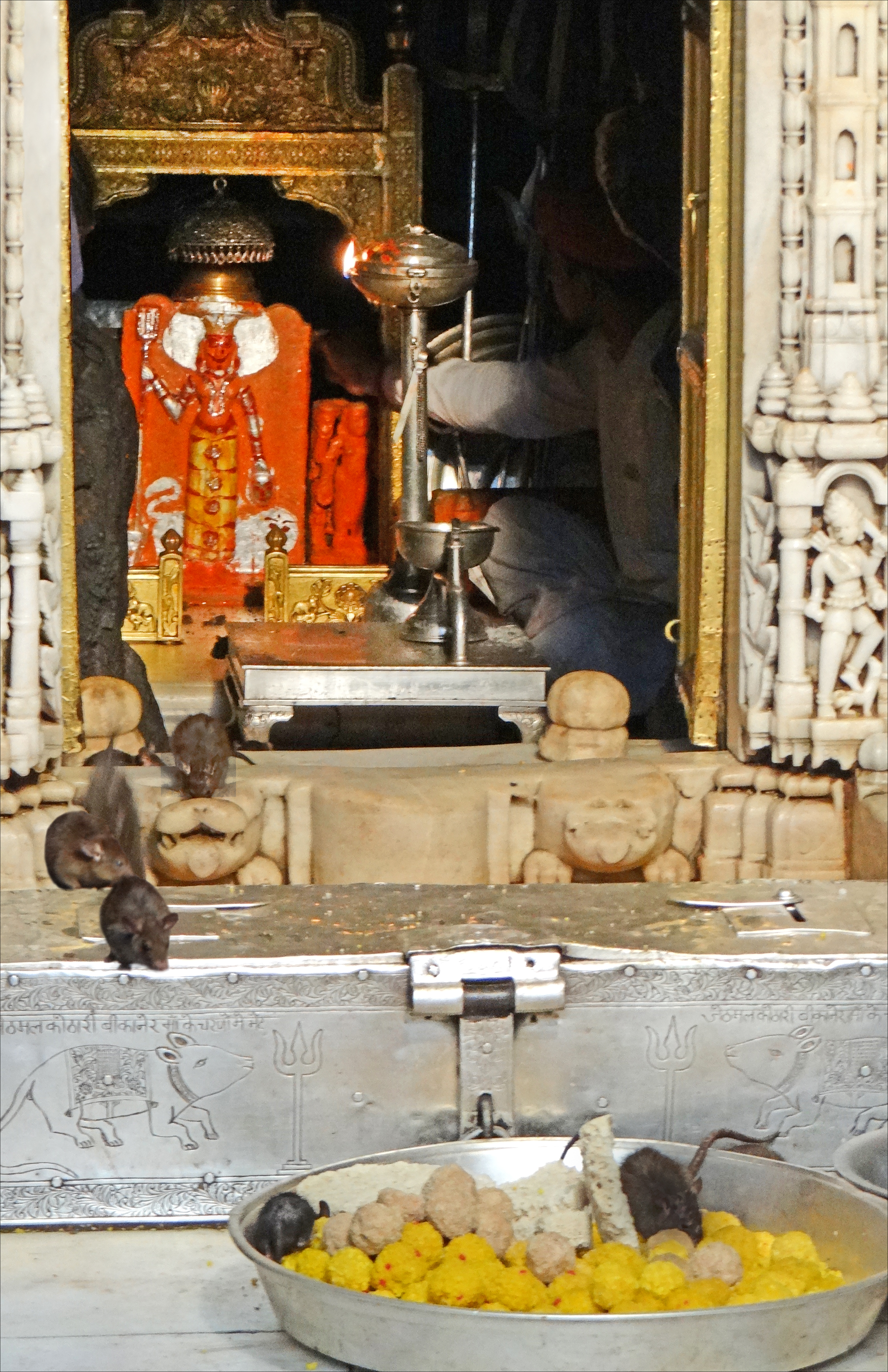 La Statue De La Déesse Entourée Des Rats Sacrés (8423510937) - Karni Mata Temple - HD Wallpaper 