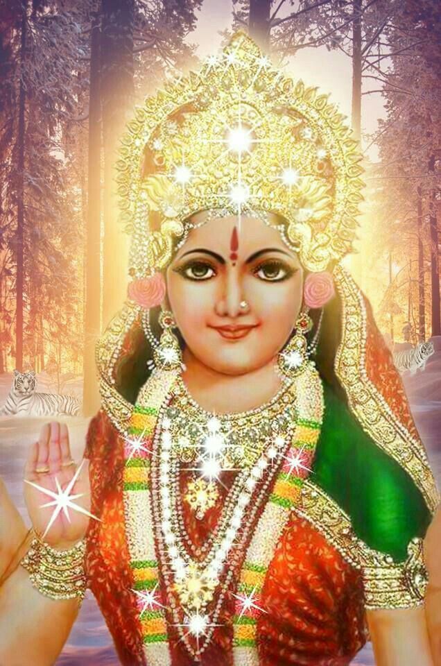 Jay Mata - HD Wallpaper 