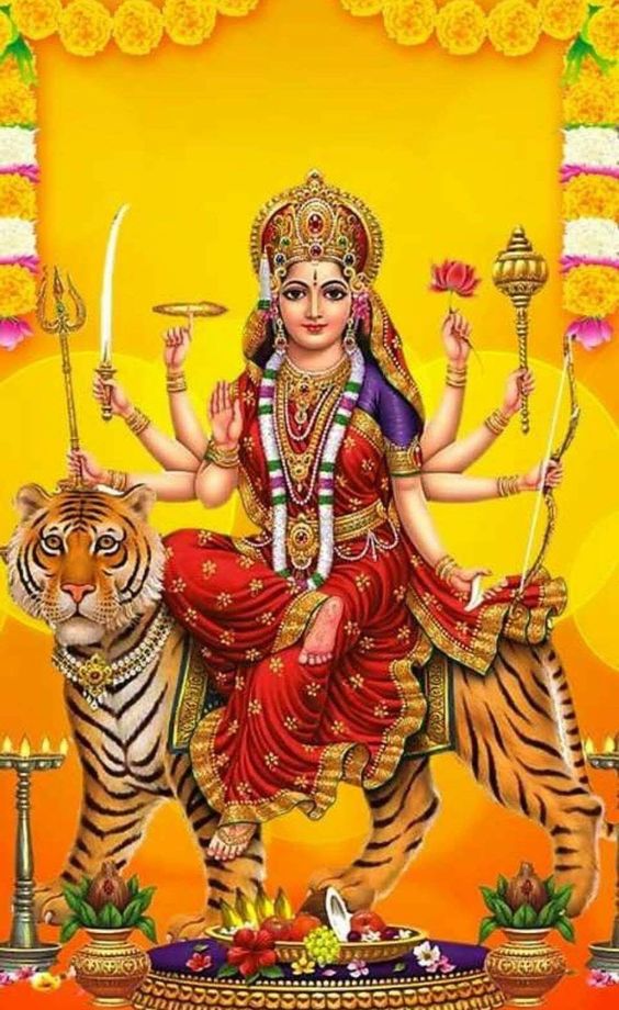 Maa Durga Shankri Nav Durga Image - Jai Mata Di Photo Download - 564x920  Wallpaper 