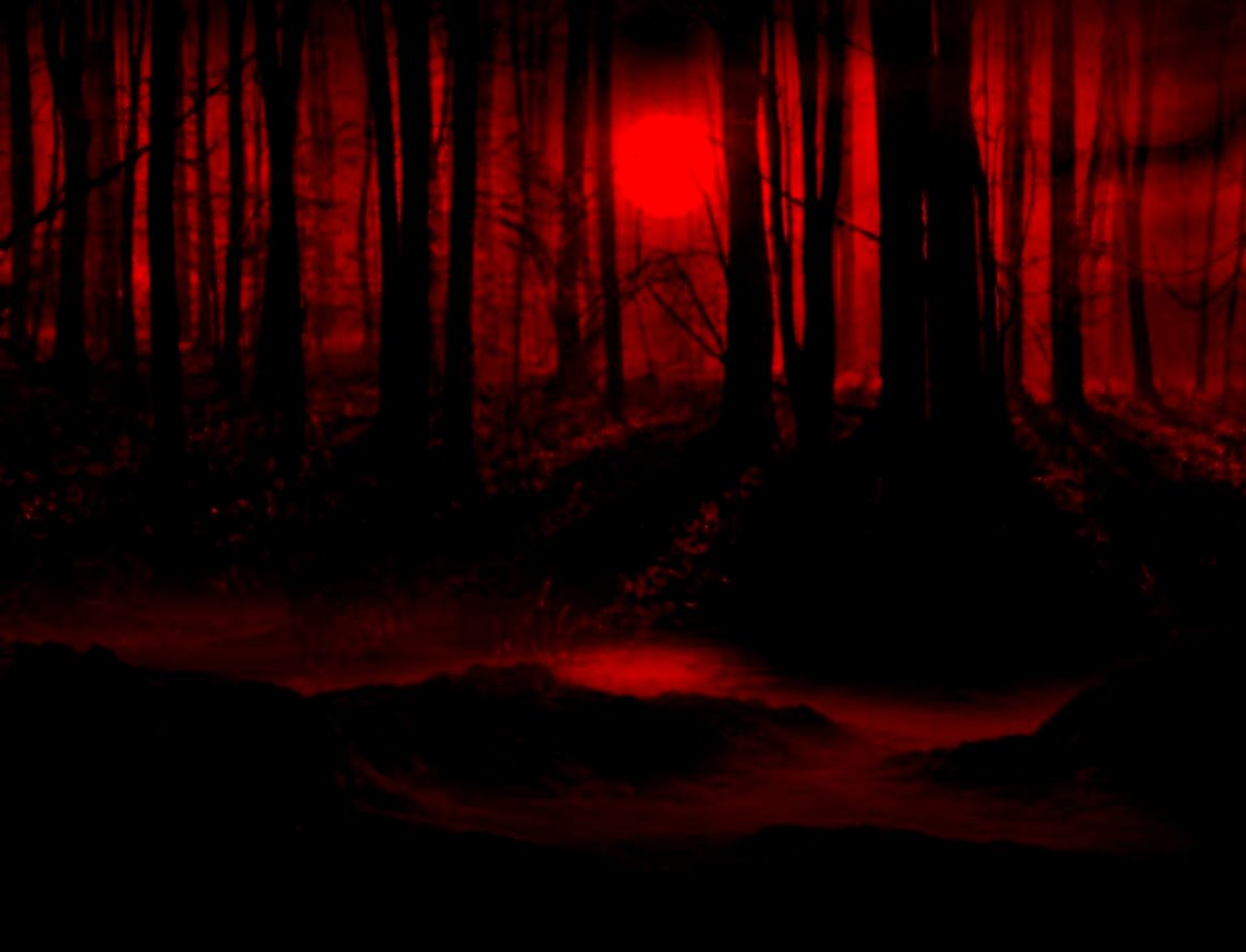 Dark Red Hd Wallpapers Movie Hd Wallpapers - Warrior Cats Dark Forest Background - HD Wallpaper 