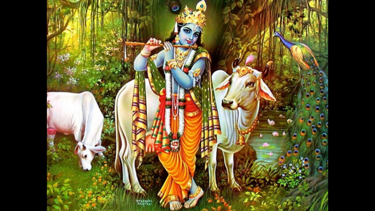 Lord Krishna With Cow - HD Wallpaper 