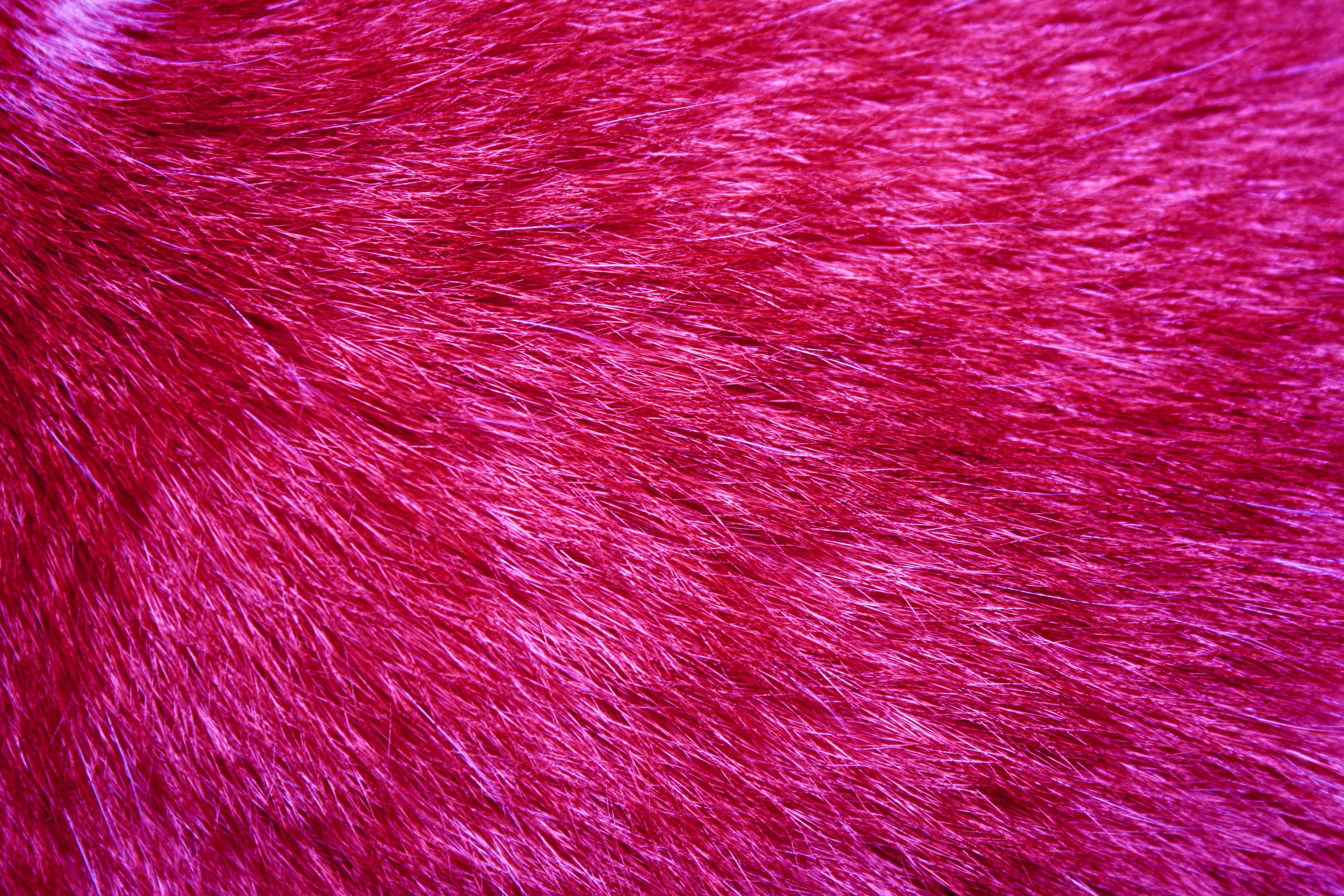 Hot Pink Wallpaper - Hot Pink Fur Hd - HD Wallpaper 