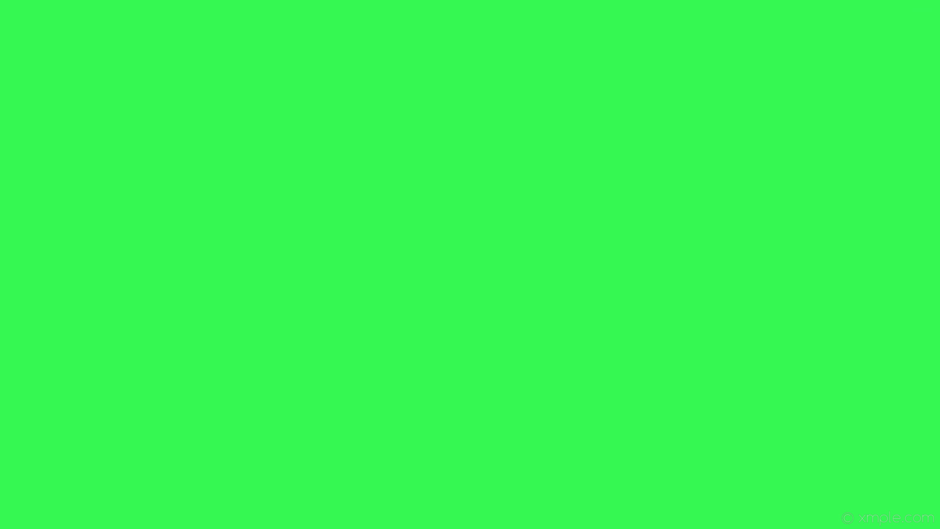 Wallpaper One Colour Single Plain Green Solid Color - Green - HD Wallpaper 