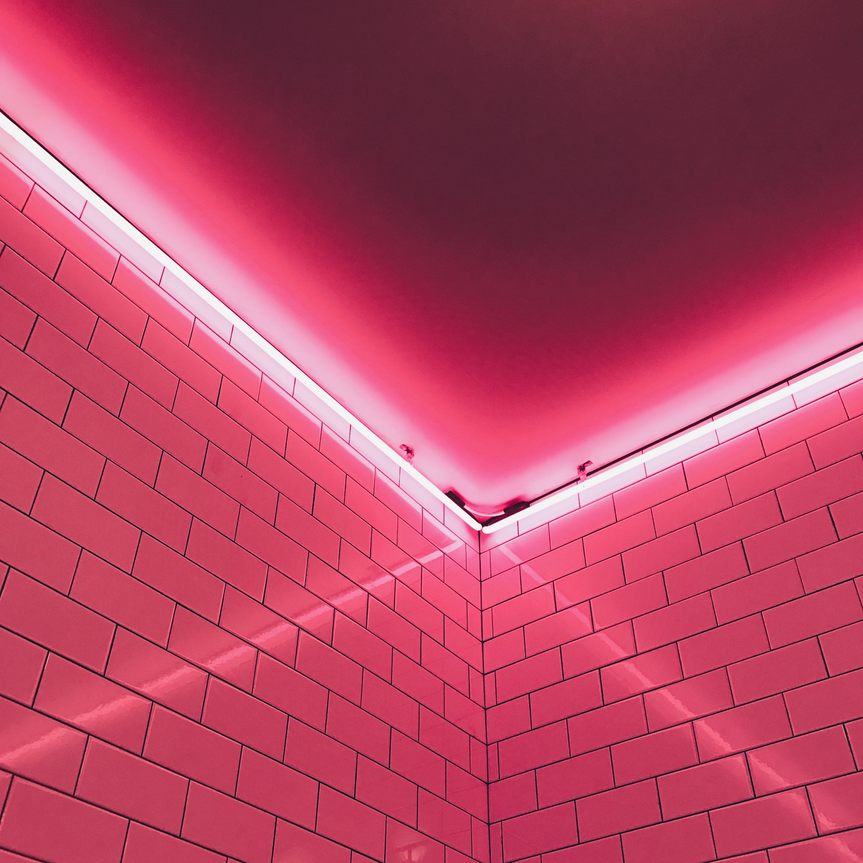 Wallpaper Wall, Light, Pink, Tile - Super Junior - HD Wallpaper 