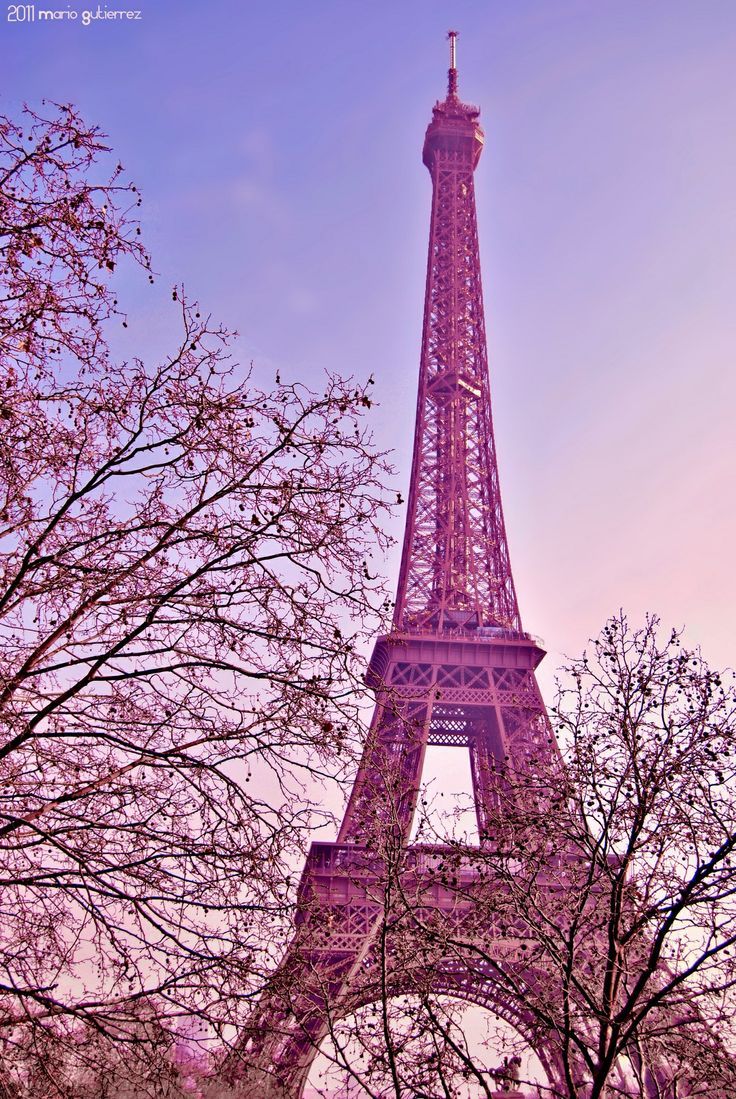 Cute Paris Wallpaper A Lyybj Data-src /img/128098 - Eiffel Tower Wallpaper  Hd Pink - 736x1099 Wallpaper 