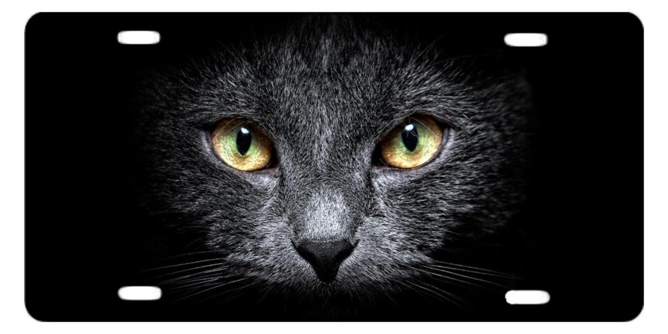 Cat Black Wallpaper Iphone - HD Wallpaper 