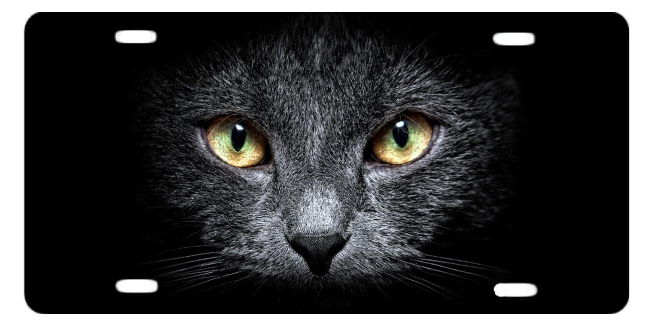 Cat Black Wallpaper Iphone - HD Wallpaper 