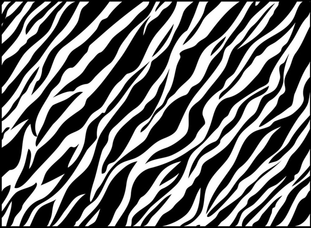 Printable Zebra Print - HD Wallpaper 