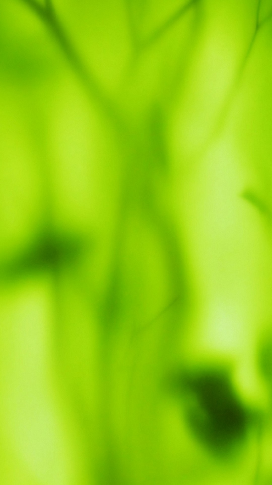 Green Colour Wallpaper - Iphone Wallpaper Green Color - HD Wallpaper 