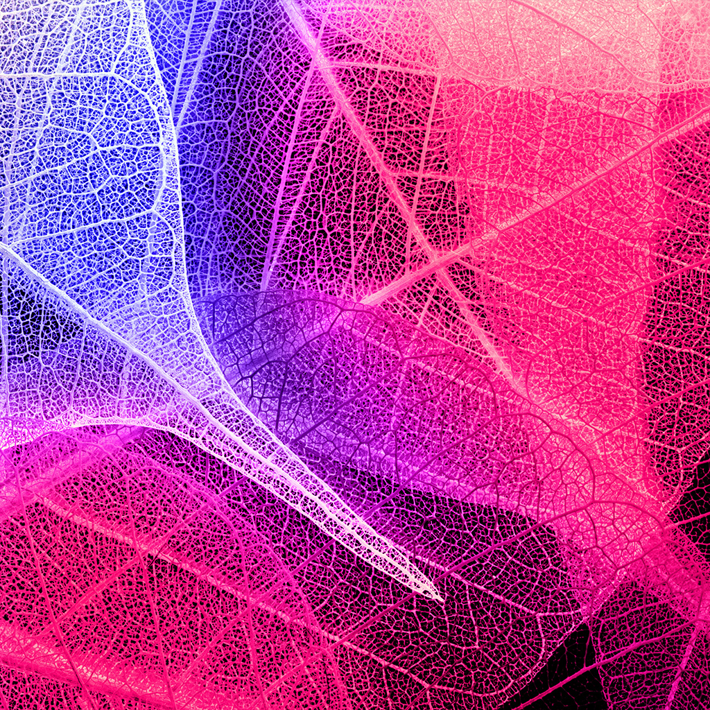 Pink And Blue Leaves - HD Wallpaper 