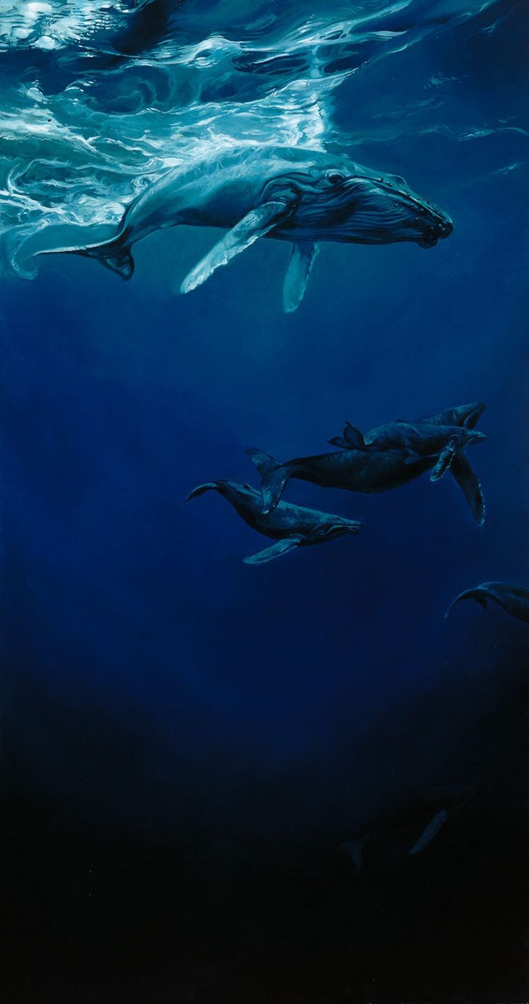 Deep Sea Wallpaper Whale - HD Wallpaper 