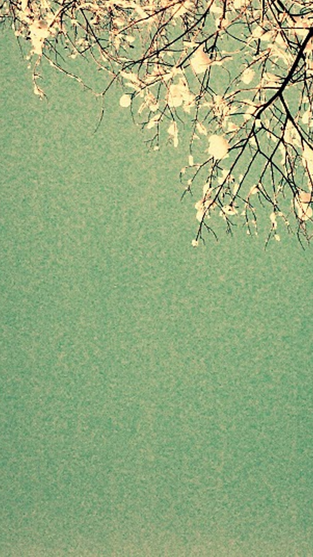 Wallpaper Green Colour Android With Image Resolution - 1080x1920 Wallpaper Wallpaper Green Colour Android With Image Resolution - 1080x1920 Wallpaper