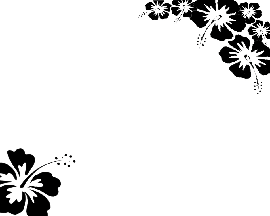 Wallpapers Black White Flower Wallpaper By Revenniaga - Black And White Flowers White Background - HD Wallpaper 