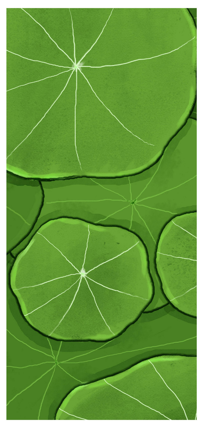 Wallpaper Daun Teratai - Illustration - HD Wallpaper 