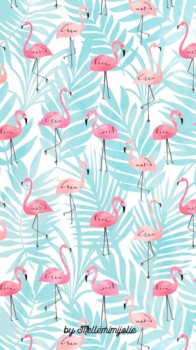 Papel De Parede Flamingo - HD Wallpaper 