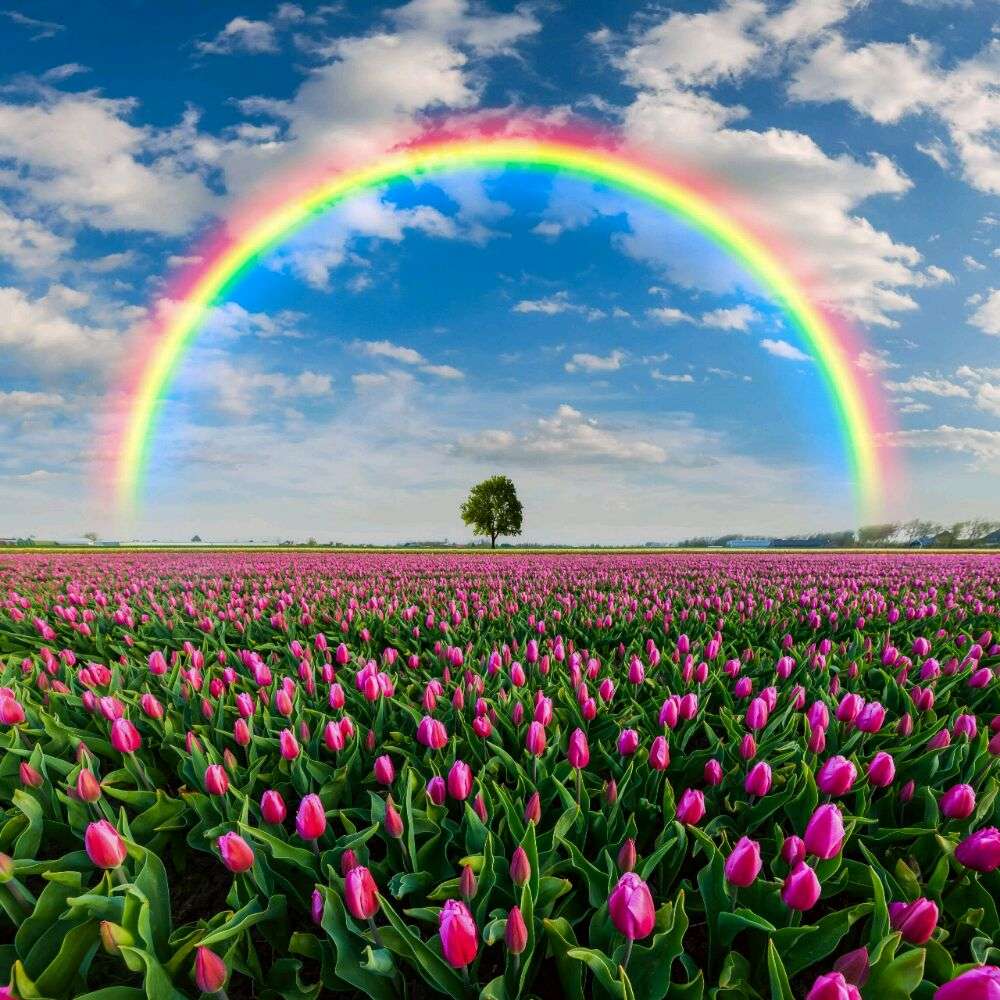 Wallpaper Dinding Mural Motip Pelangi Per Meter - Flowers Spring Sunset Background Bigger - HD Wallpaper 