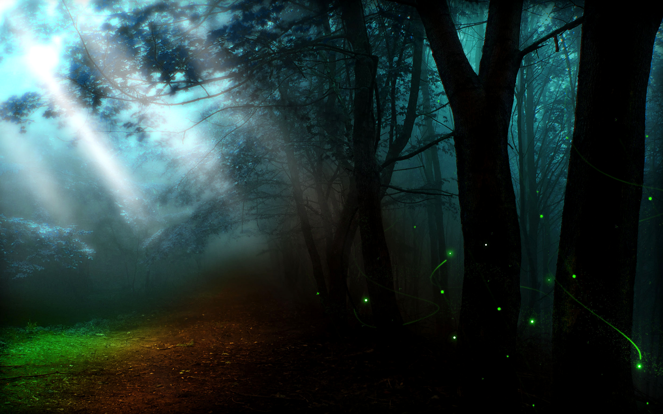 Dark Wallpaper - Deep Nature - HD Wallpaper 