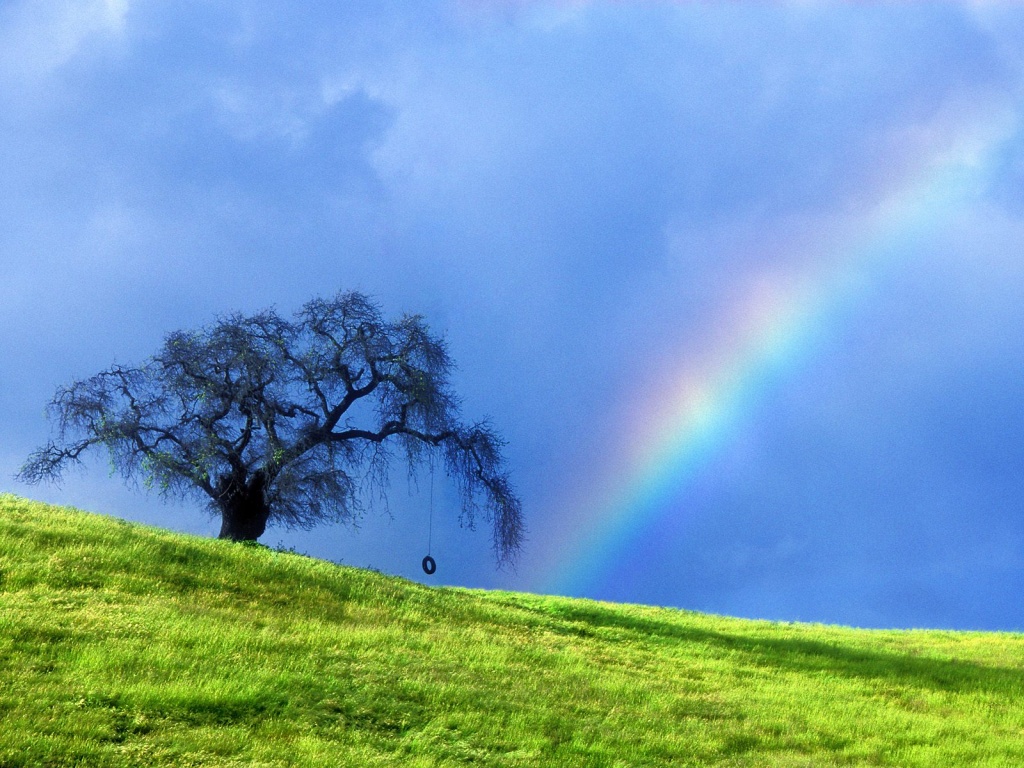 Rainbow Hd - HD Wallpaper 