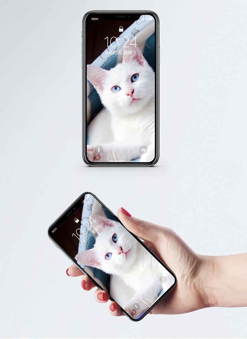 Berbaring Wallpaper Ponsel Kucing Putih - Hình Nền Điện Thoại Hình Trái Chanh - HD Wallpaper 