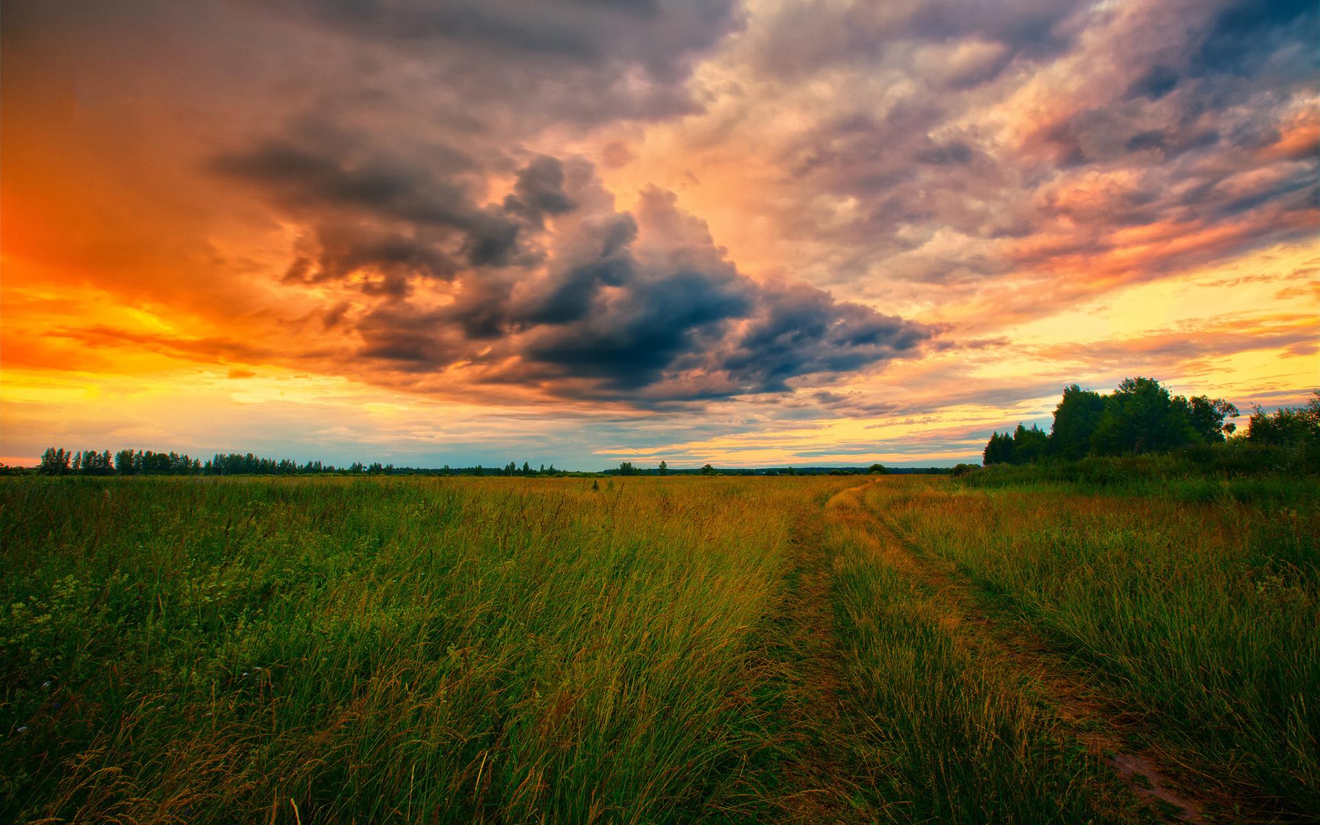 Hd Golden Clouds Above The Green Field Wallpaper - Awan Full Hd - HD Wallpaper 