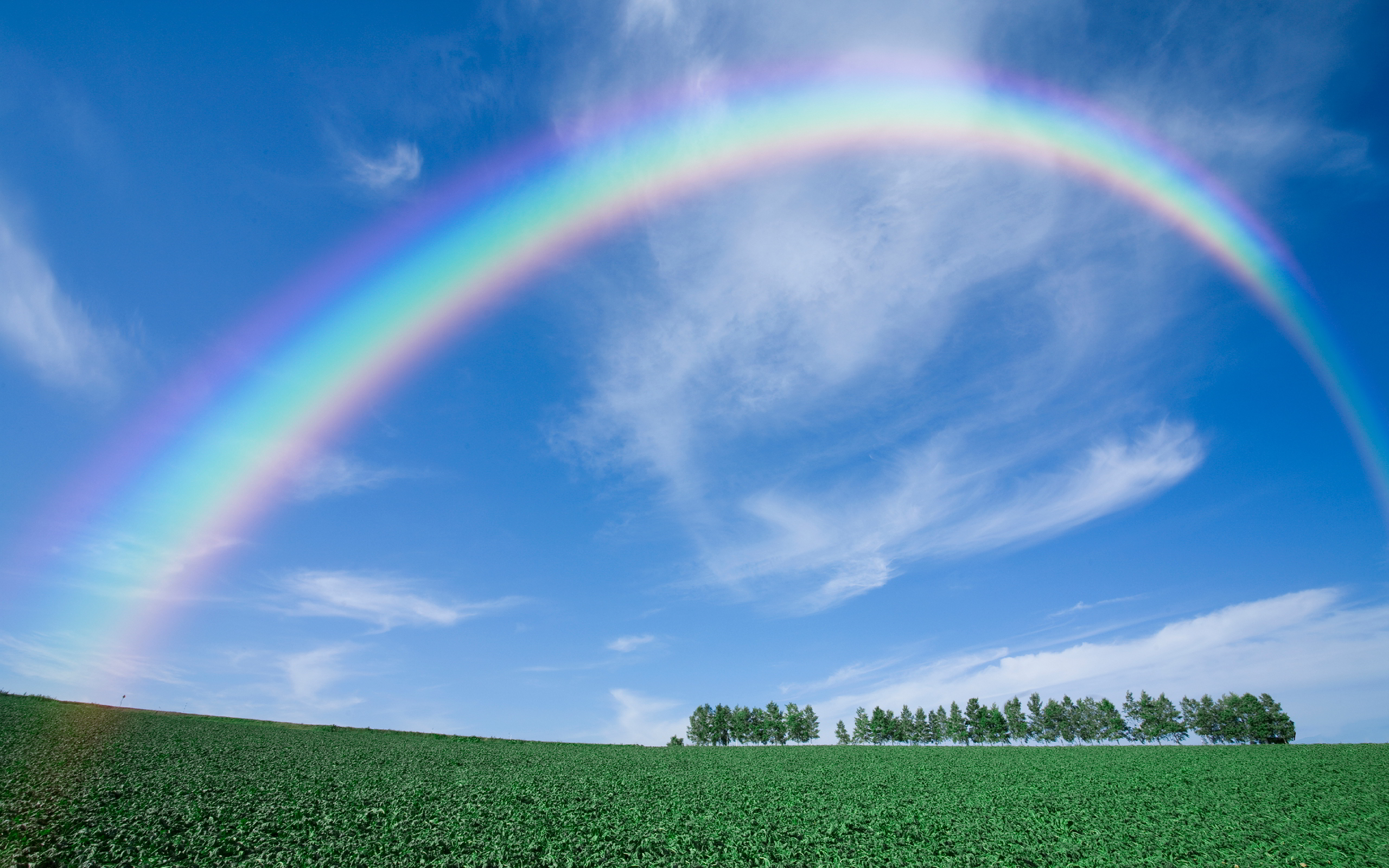 Backgrounds Rainbow - HD Wallpaper 