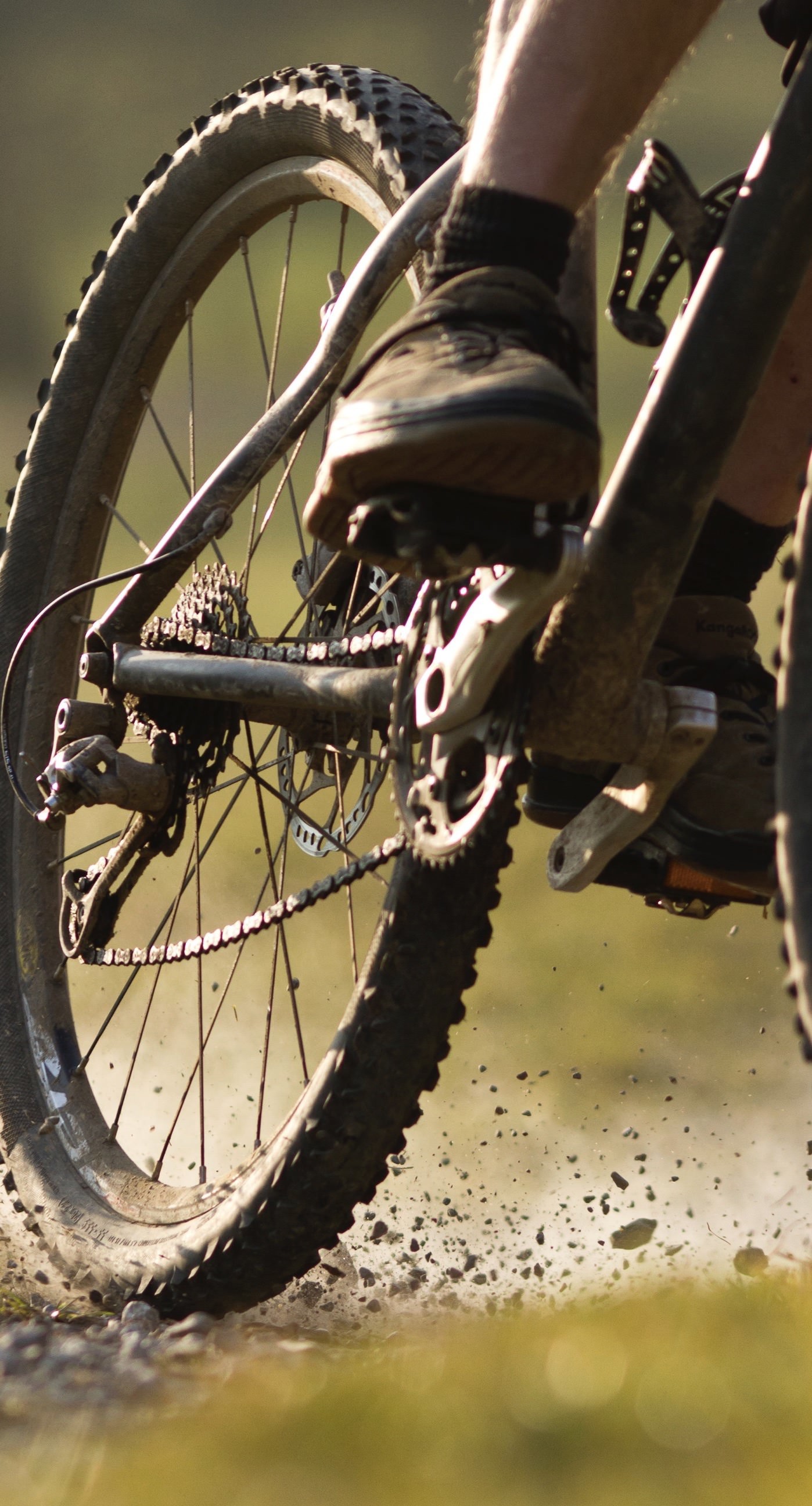 Iphone 7 Plus Wallpaper 
 Data-src - Iphone Bike Wallpaper Hd - HD Wallpaper 