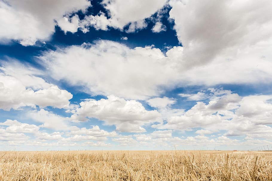Clouds In Wheat - HD Wallpaper 
