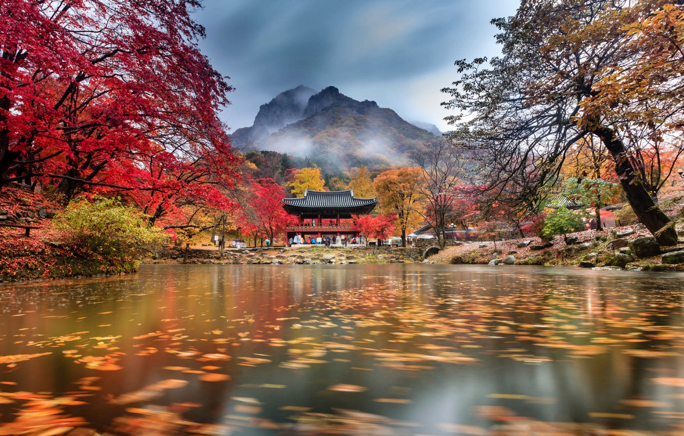 Photo Wallpaper Autumn, Clouds, Trees, Mountains, Fog, - Korea Autumn - HD Wallpaper 