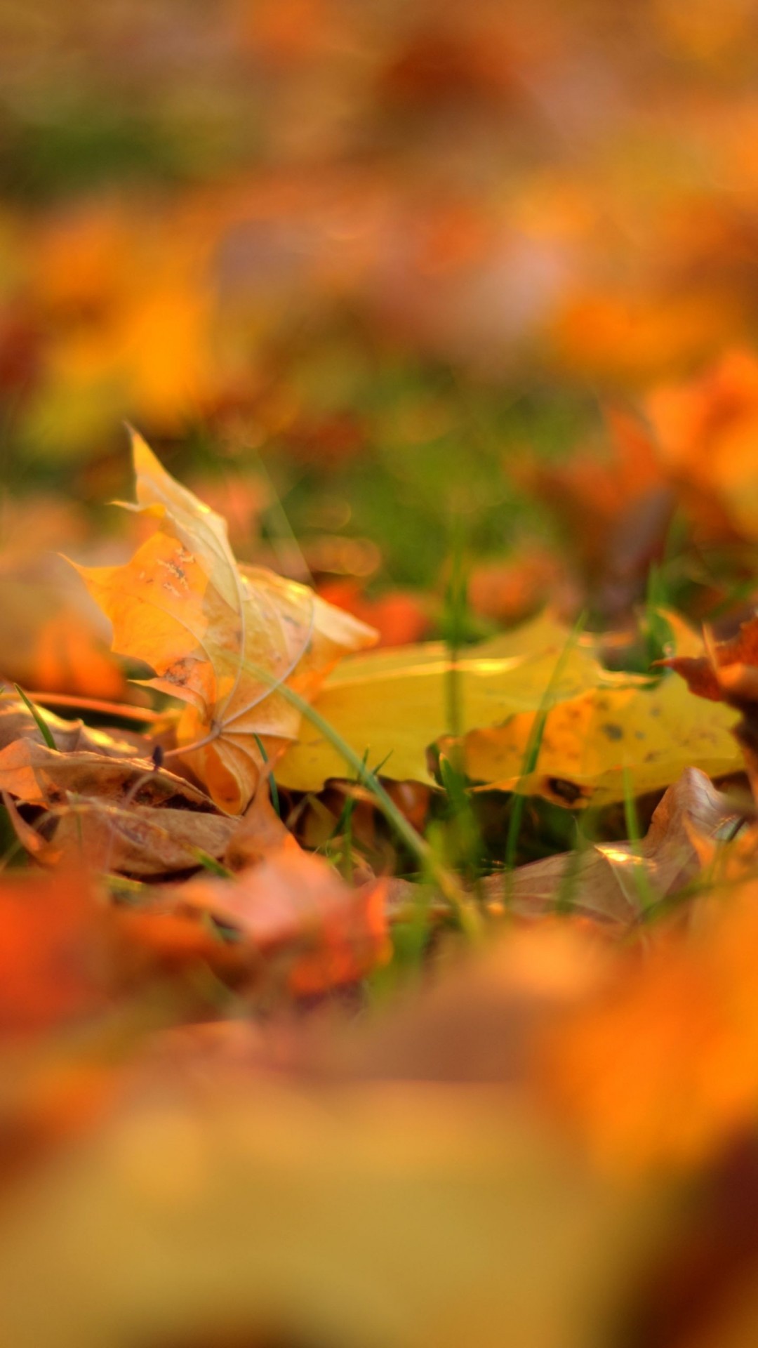 Hd Wallpaper Download For Redmi - HD Wallpaper 